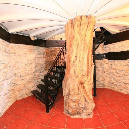 Castelul Lupilor Hotel Chimindia Buitenkant foto