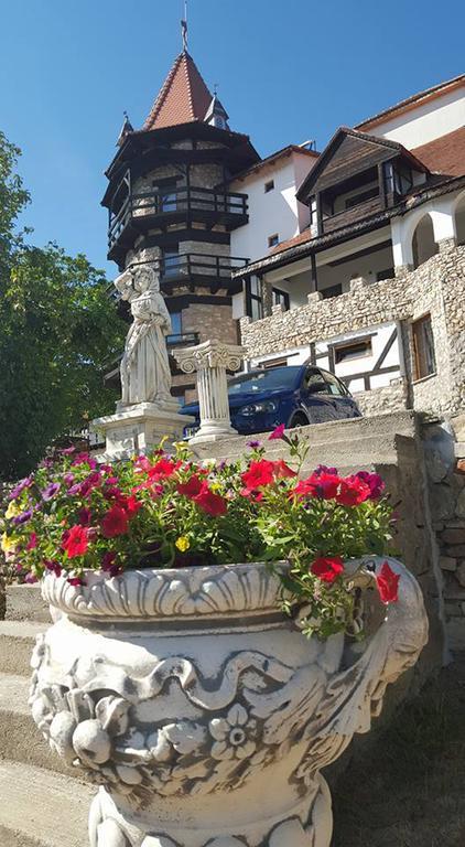 Castelul Lupilor Hotel Chimindia Buitenkant foto